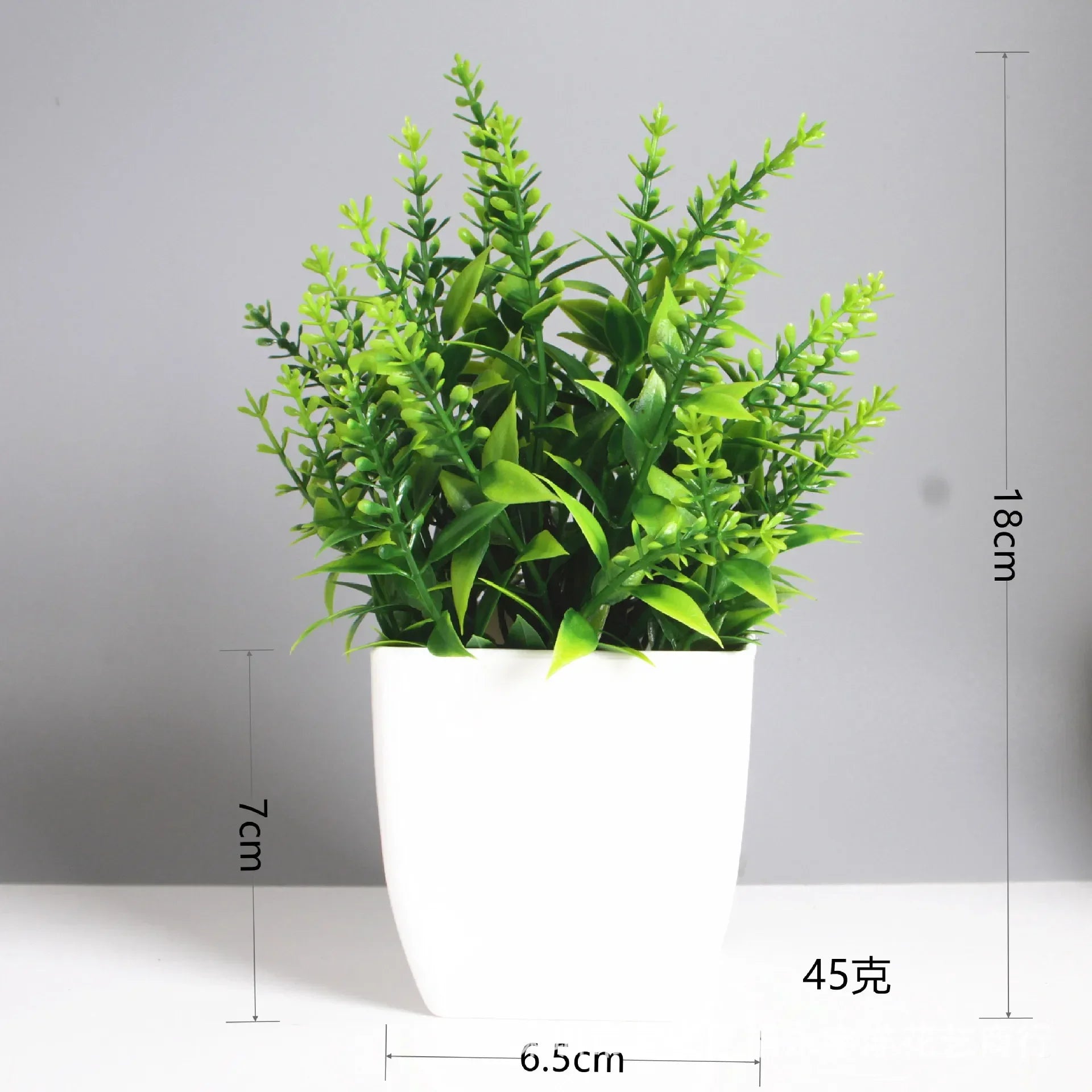 Lush Green Bonsai