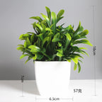 Lush Green Bonsai