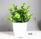 Lush Green Bonsai