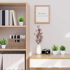 Lush Green Bonsai