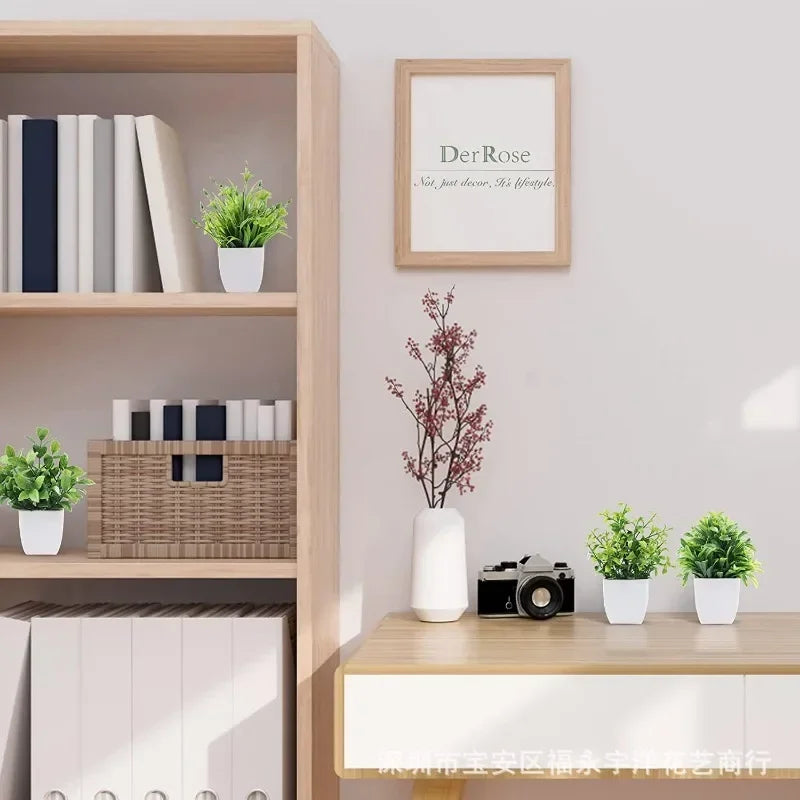 Lush Green Bonsai