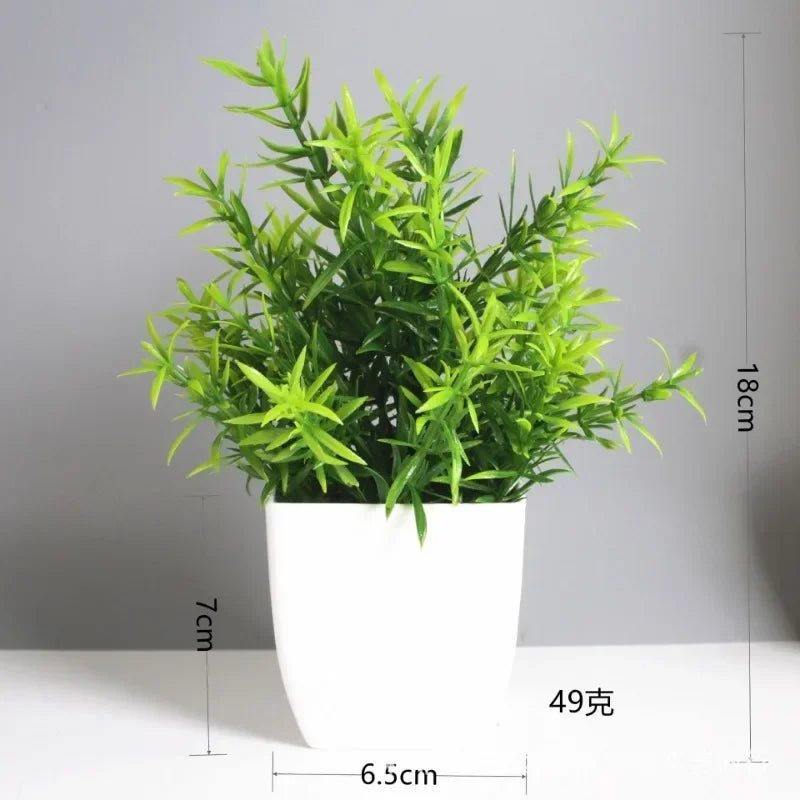 Lush Green Bonsai