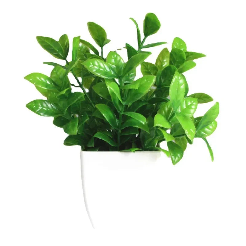 Lush Green Bonsai