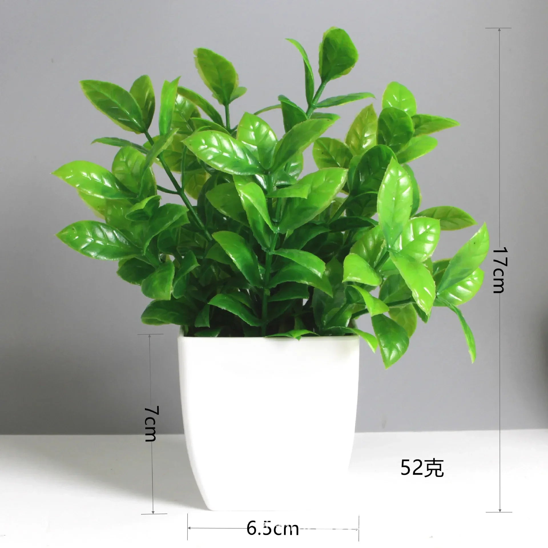 Lush Green Bonsai