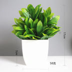 Lush Green Bonsai