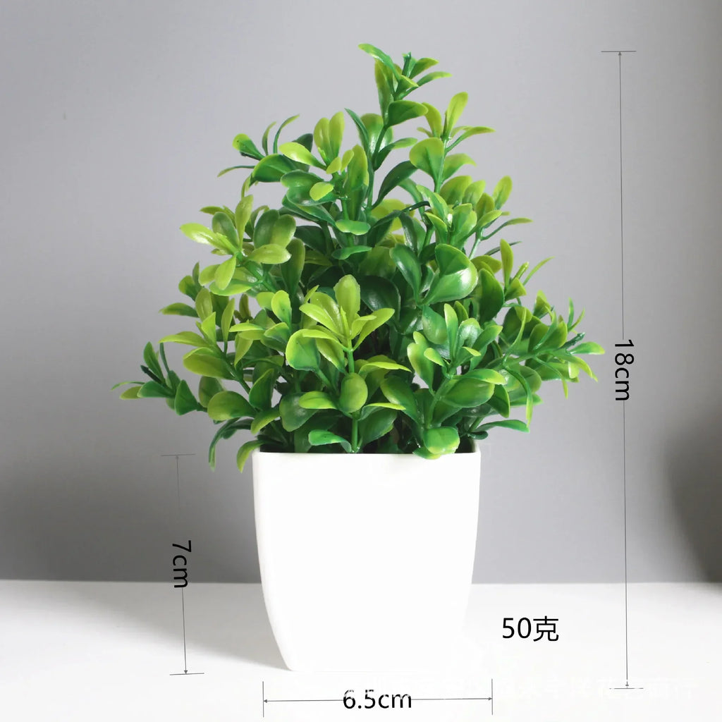 Lush Green Bonsai
