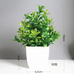 Lush Green Bonsai