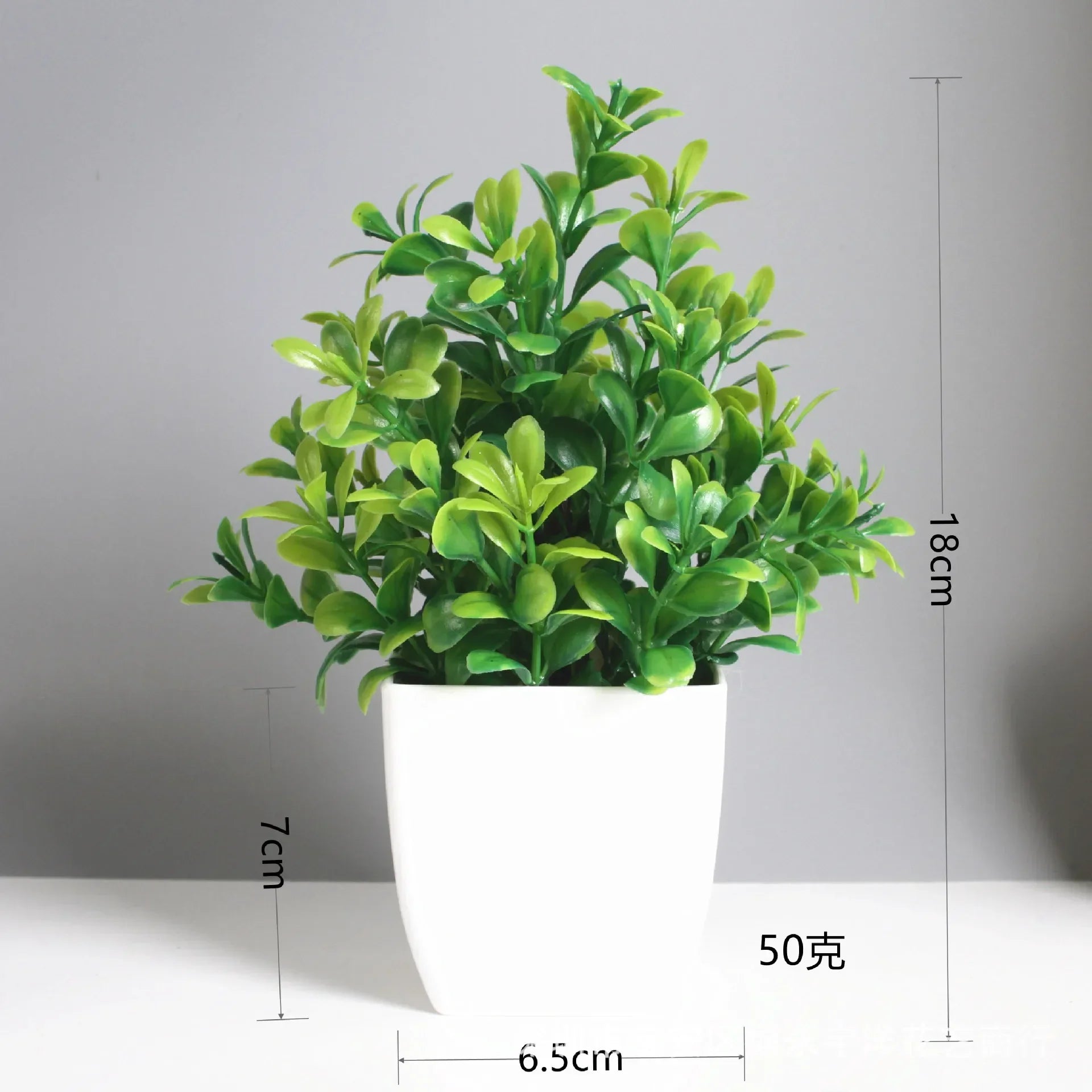 Lush Green Bonsai