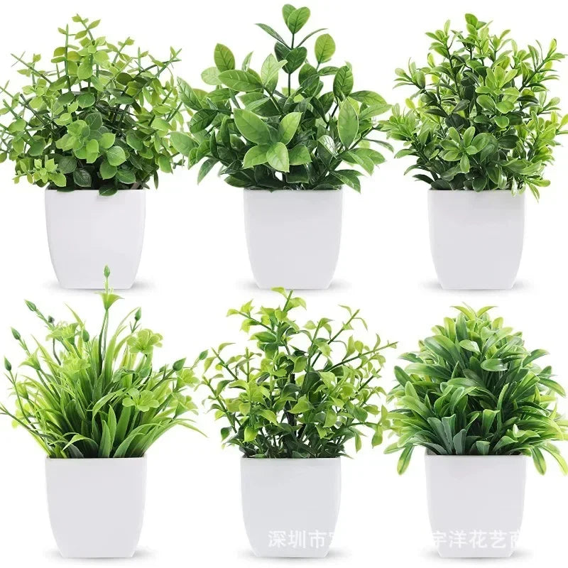 Lush Green Bonsai