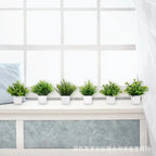 Lush Green Bonsai