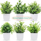 Lush Green Bonsai