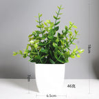 Lush Green Bonsai